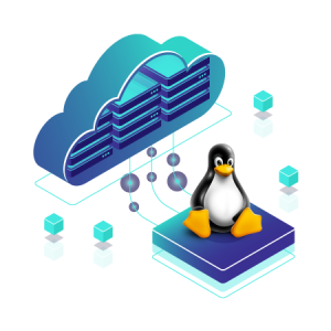 Linux KVM VPS Hosting 1